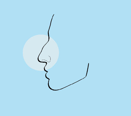 Nose Shape: Roman Nose