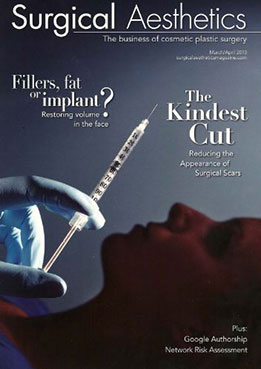 Surgical Aesthetics Journal