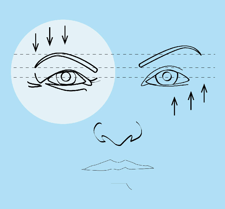 sagging eyebrows illustration photo